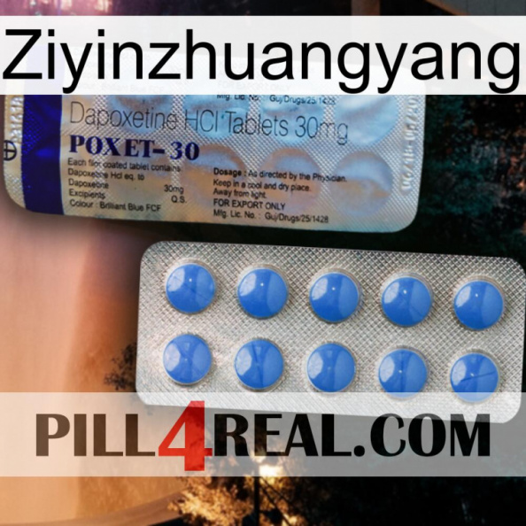 Ziyinzhuangyang 39.jpg